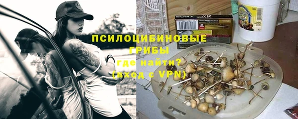 spice Абинск