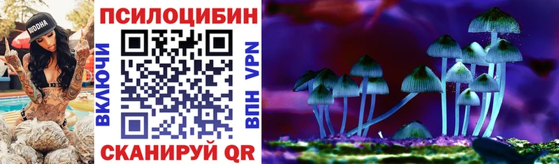 Псилоцибиновые грибы мицелий Щёкино