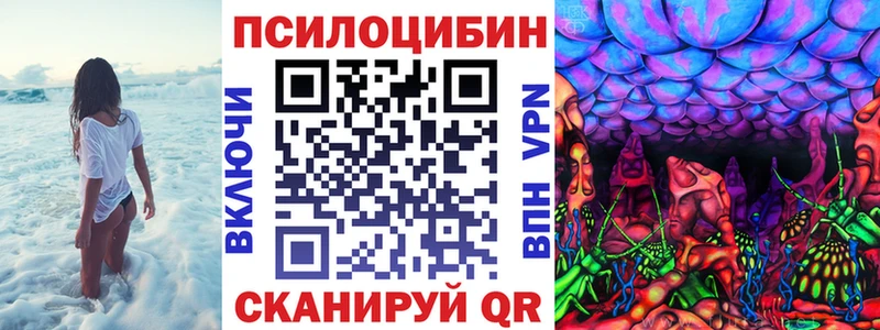 Галлюциногенные грибы Cubensis  закладка  Щёкино 